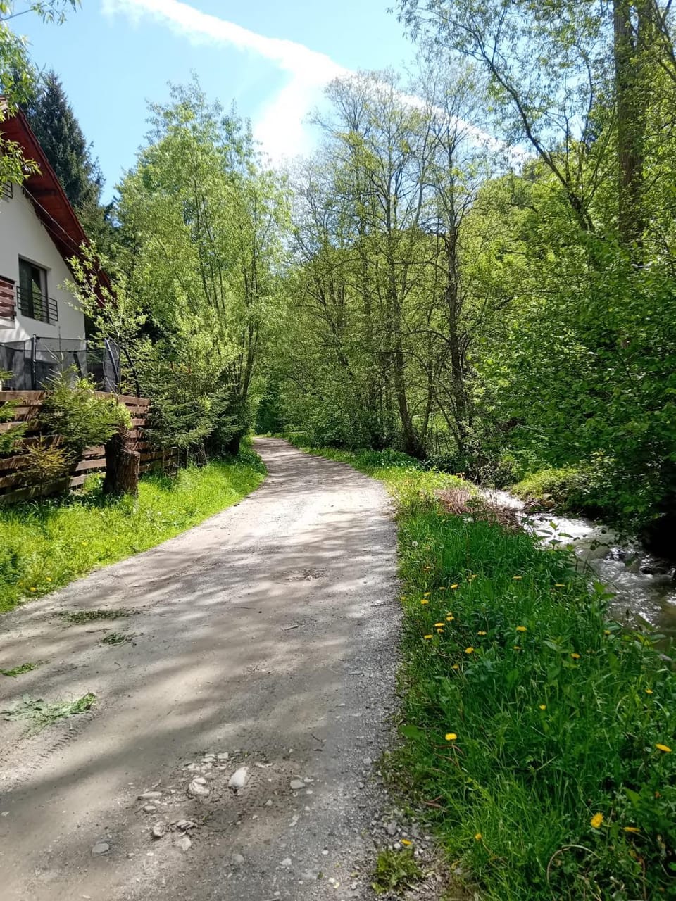 Casa Maia Dambovicioara Bed and Breakfast in Brașov County