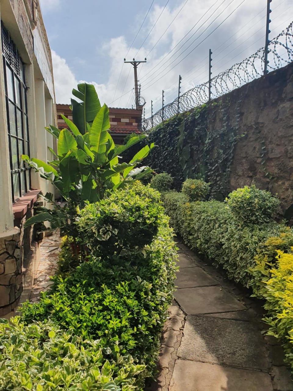 Property building, Facade/entrance, Garden