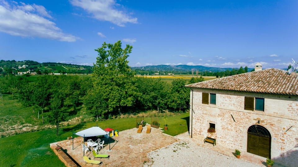 Bird's eye view, Garden