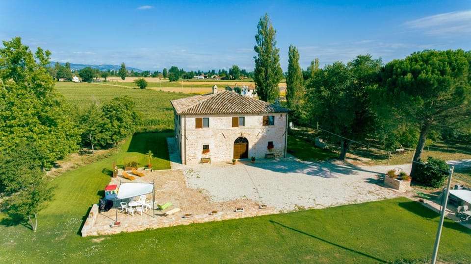 Bird's eye view, Garden