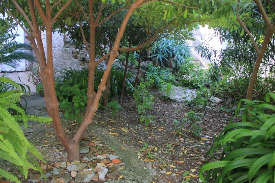 Location, children, Family