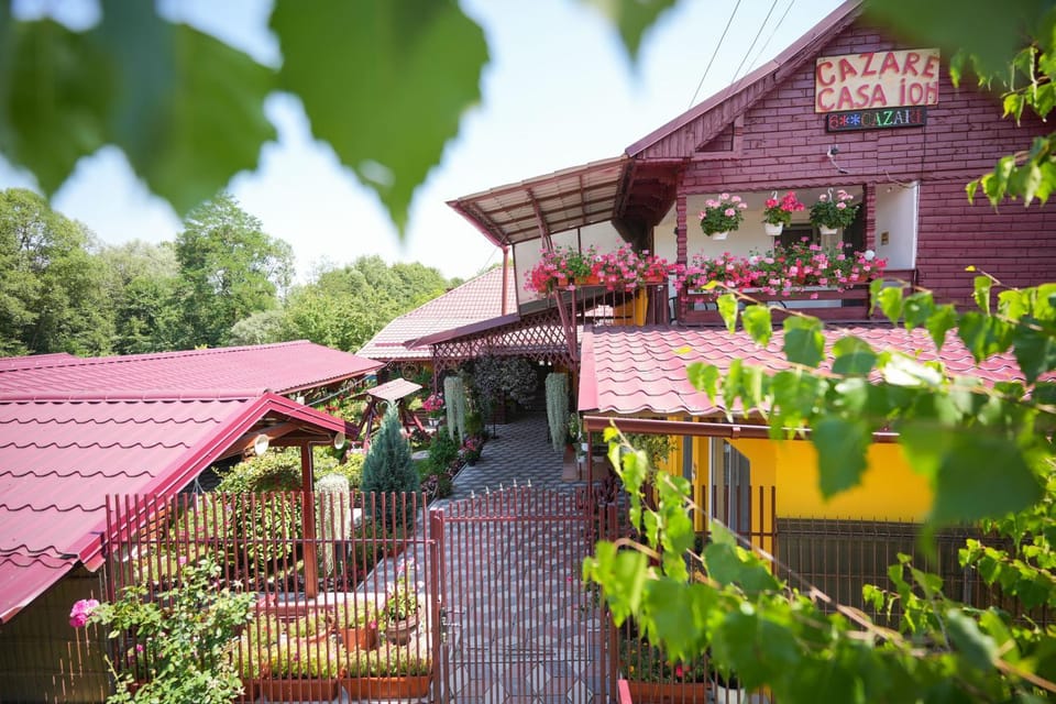 Property building, Garden view