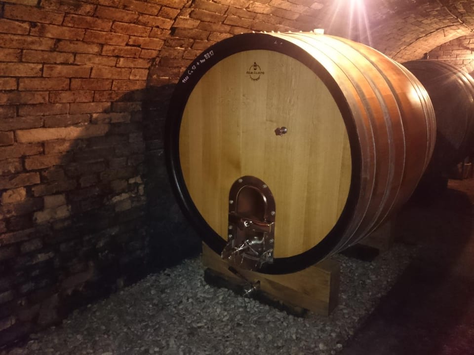 Weingut Wagner Vacation rental in Austria