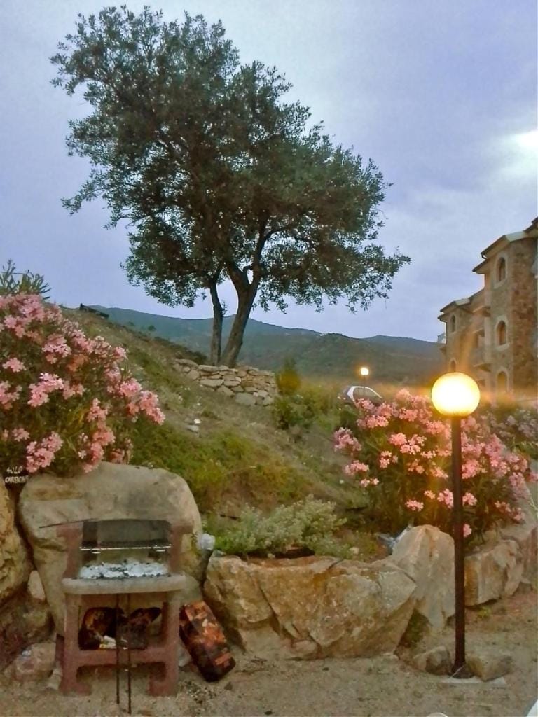 Garden, Dining area, Garden view