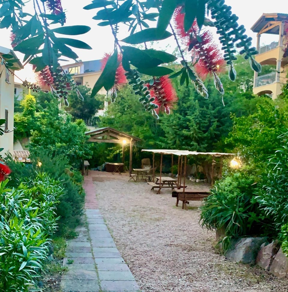 Day, Garden