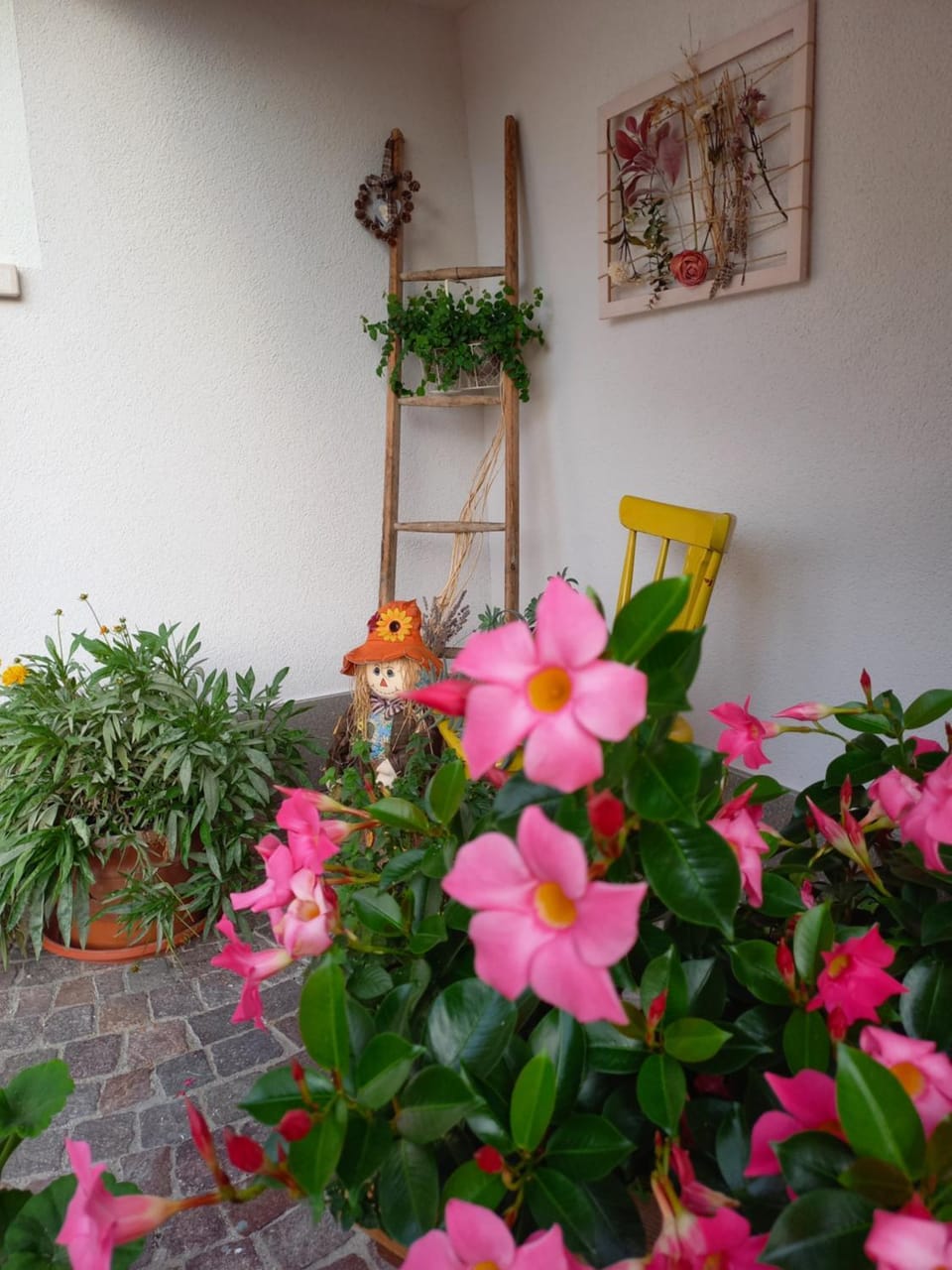 Casa Vacanze Paola Apartment in Trentino-South Tyrol