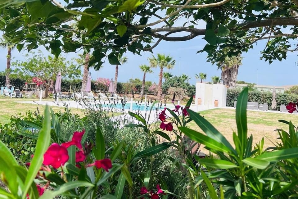 Spring, Garden view, Swimming pool