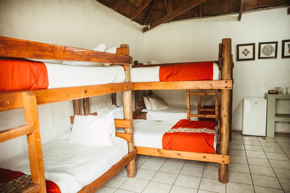 bunk bed
