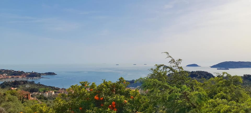 Sea view