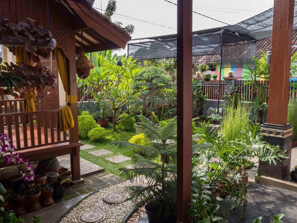 Facade/entrance, Garden, Garden view