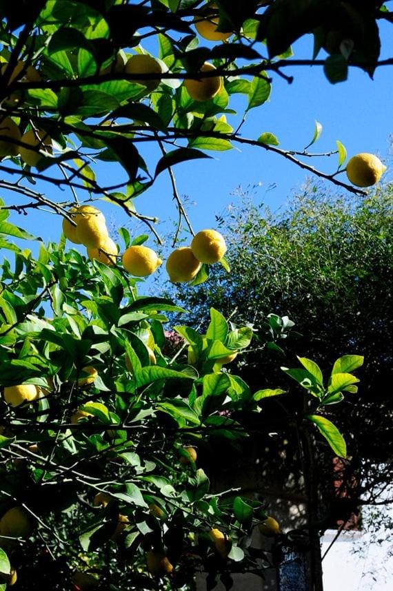 Il Giardino Bed and Breakfast in Province of Taranto