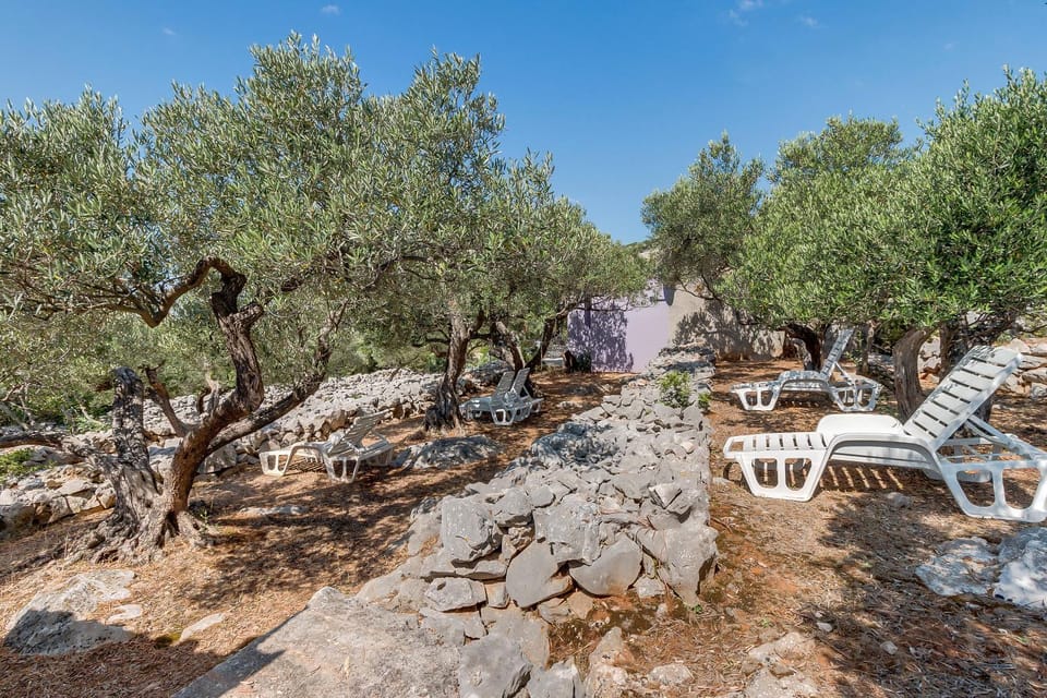 Natural landscape, On site