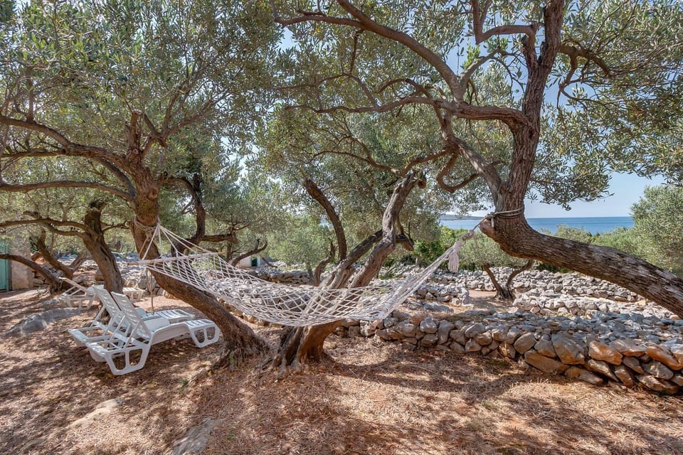 Natural landscape, Garden view, Sea view