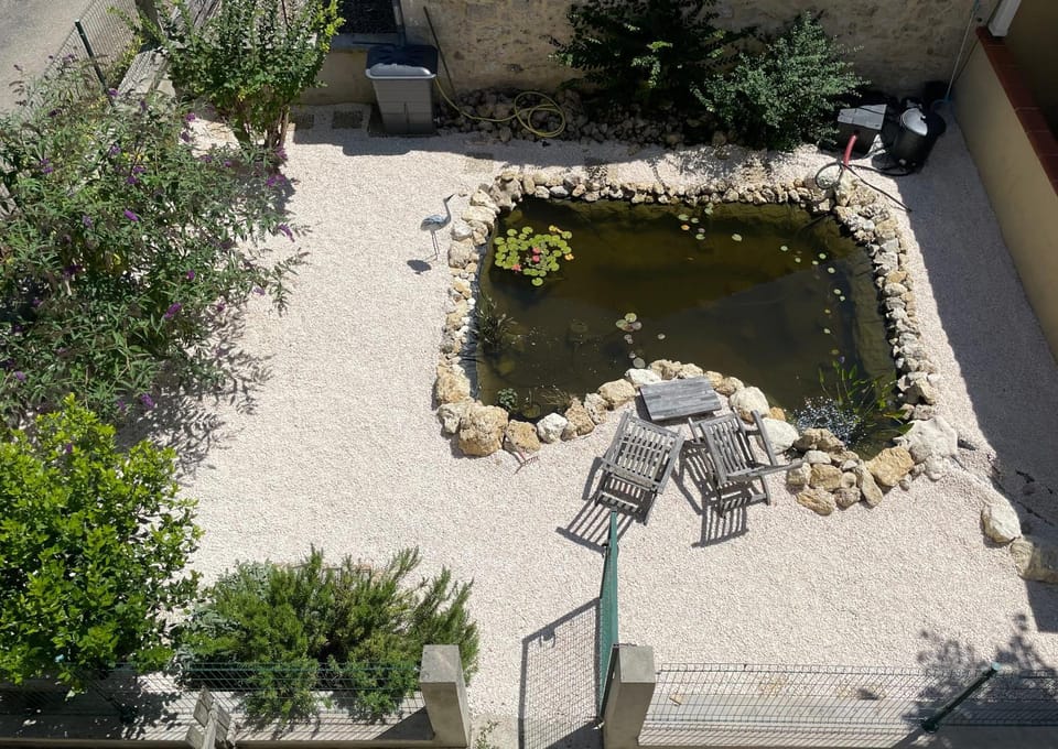 Garden view