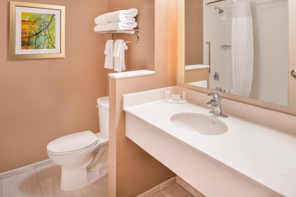 Toilet, Bathroom, towels