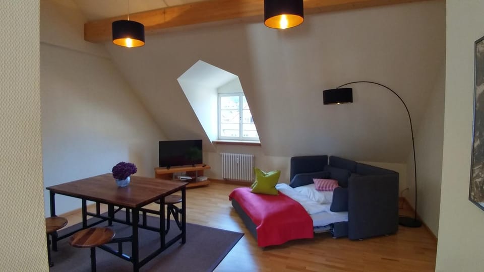 Communal lounge/ TV room, TV and multimedia, Living room, Photo of the whole room, Dining area