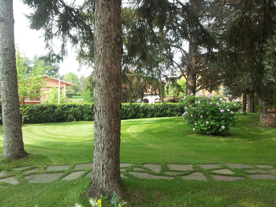 Spring, Garden