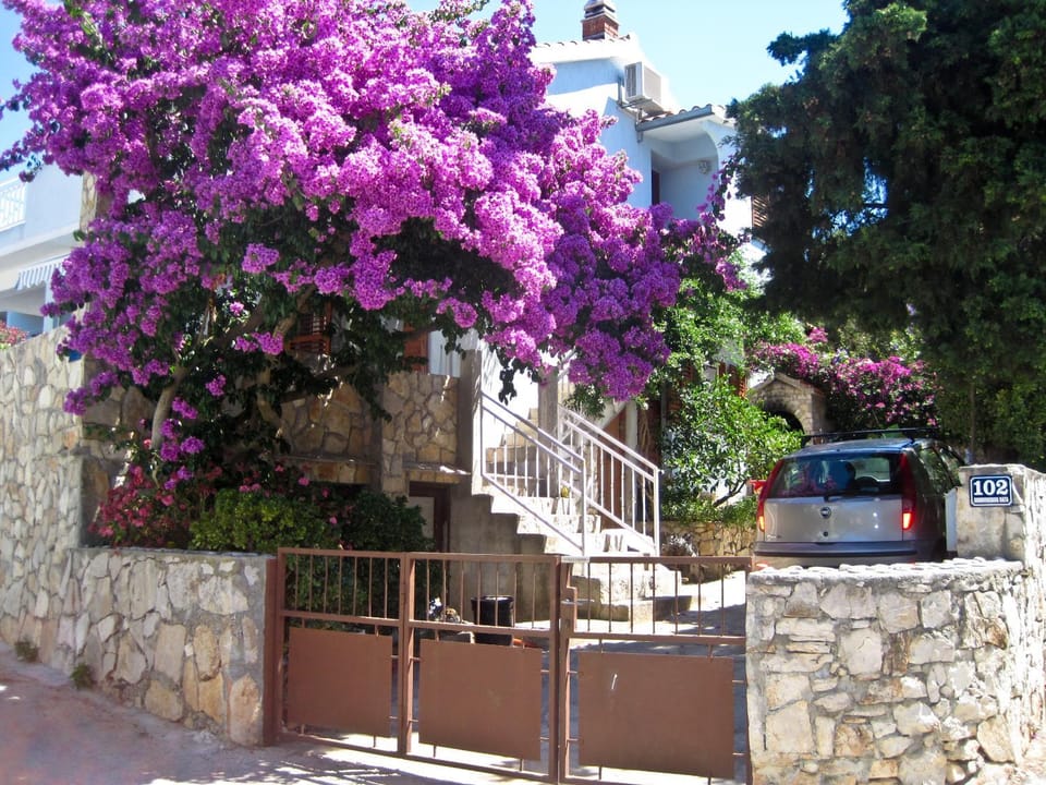 Property building, Facade/entrance, BBQ facilities, Garden, View (from property/room), Balcony/Terrace, Garden view, Street view, Area and facilities