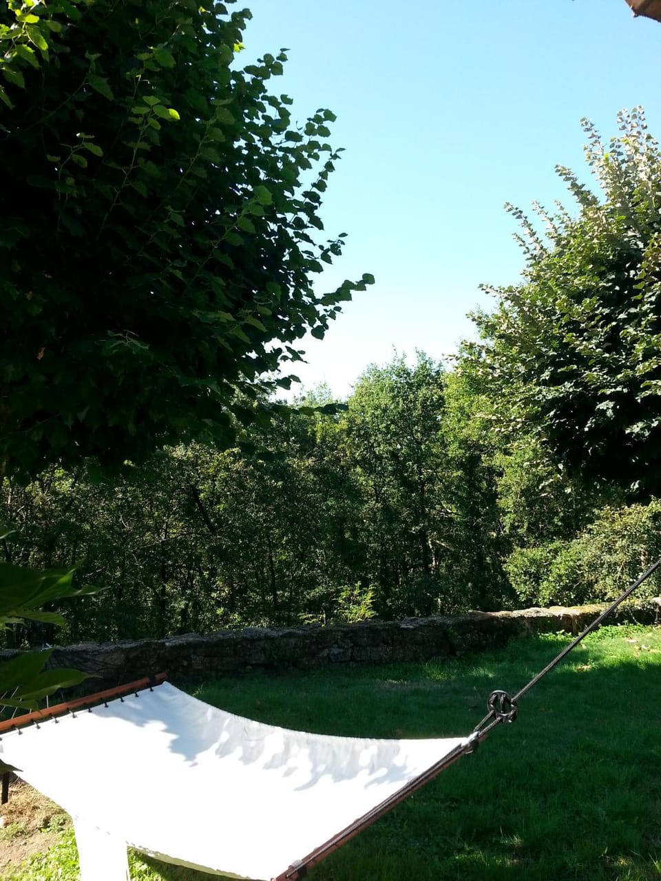 Patio, Day, Summer, BBQ facilities, Garden, View (from property/room)