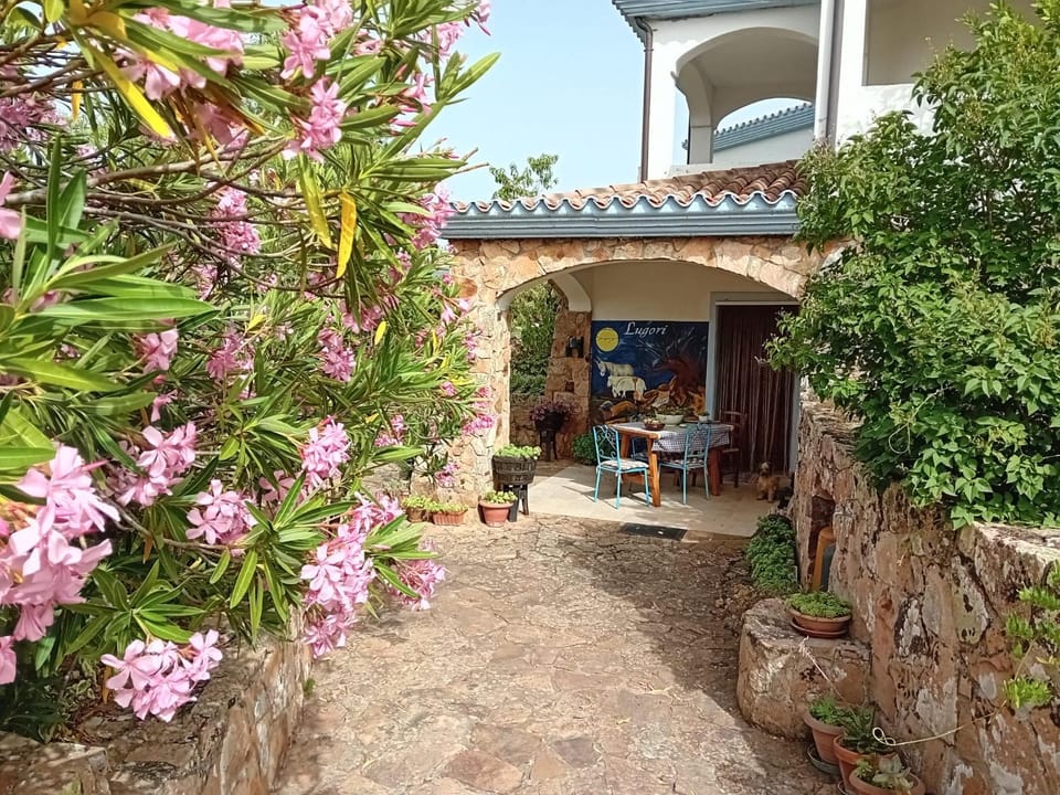 Property building, Patio, Garden view