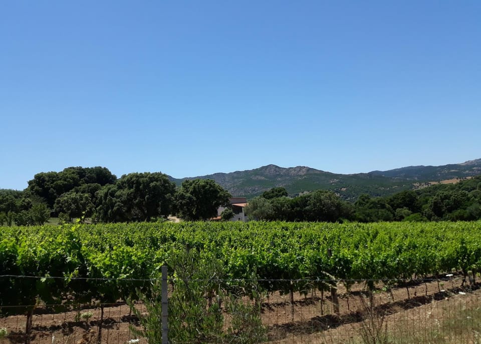 Agriturismo Su Pirastru Farm Stay in Sardinia