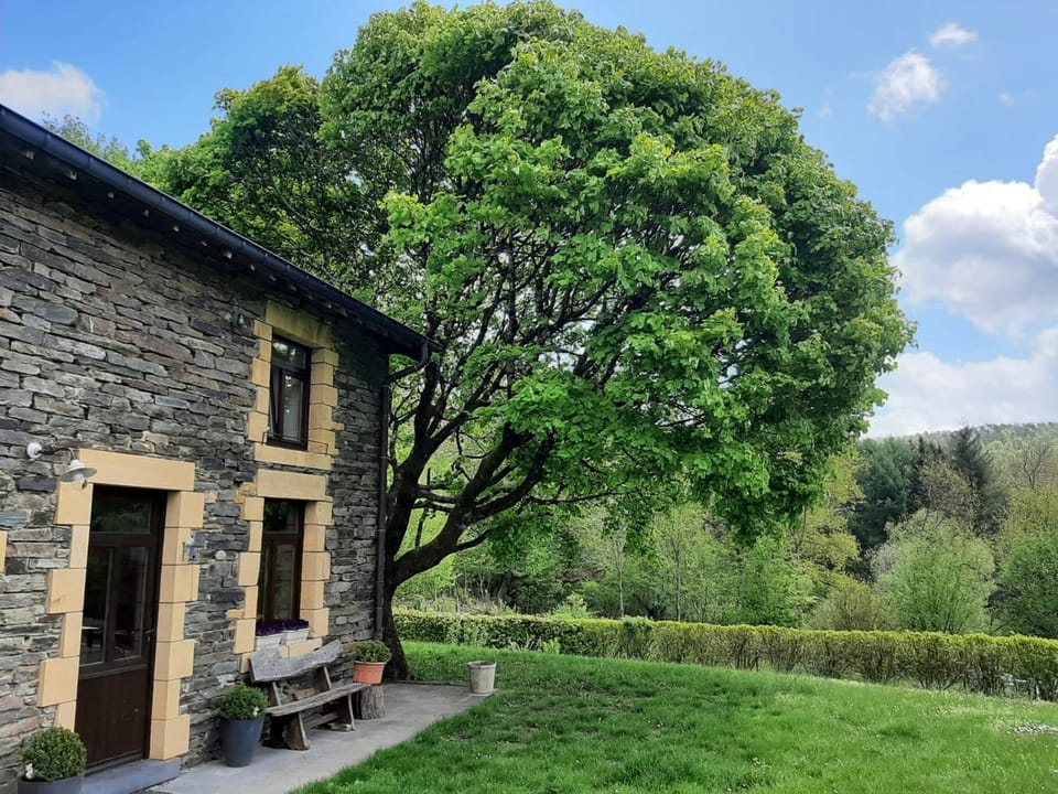 Facade/entrance, Garden