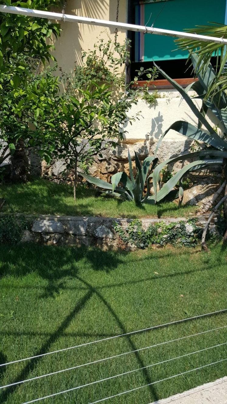 Day, Garden, Garden view