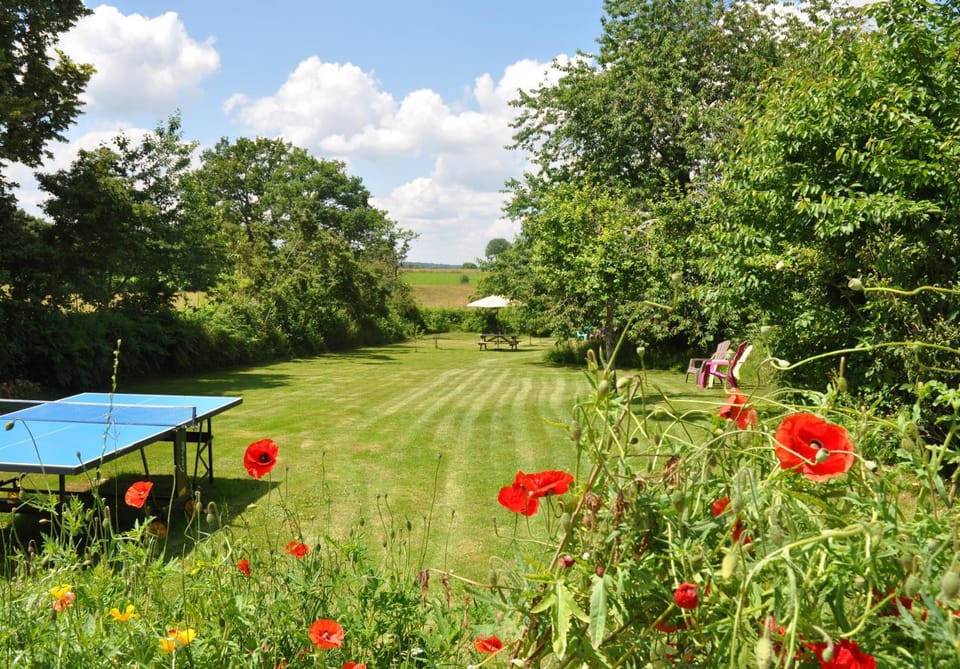 Spring, Garden, Garden, Table tennis, On site, Garden view