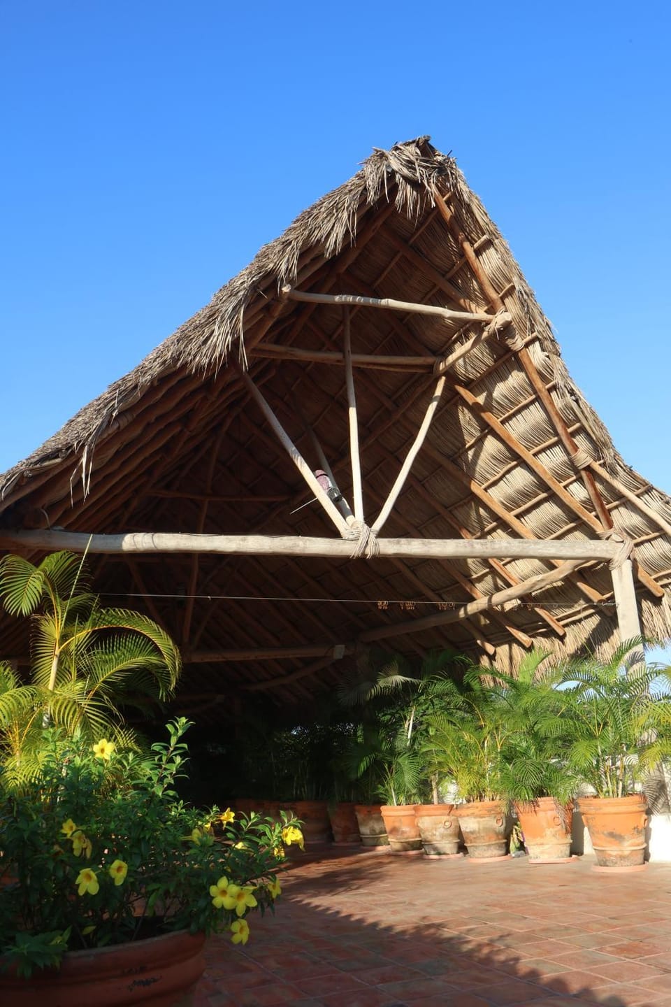 Property building, Banquet/Function facilities, Area and facilities