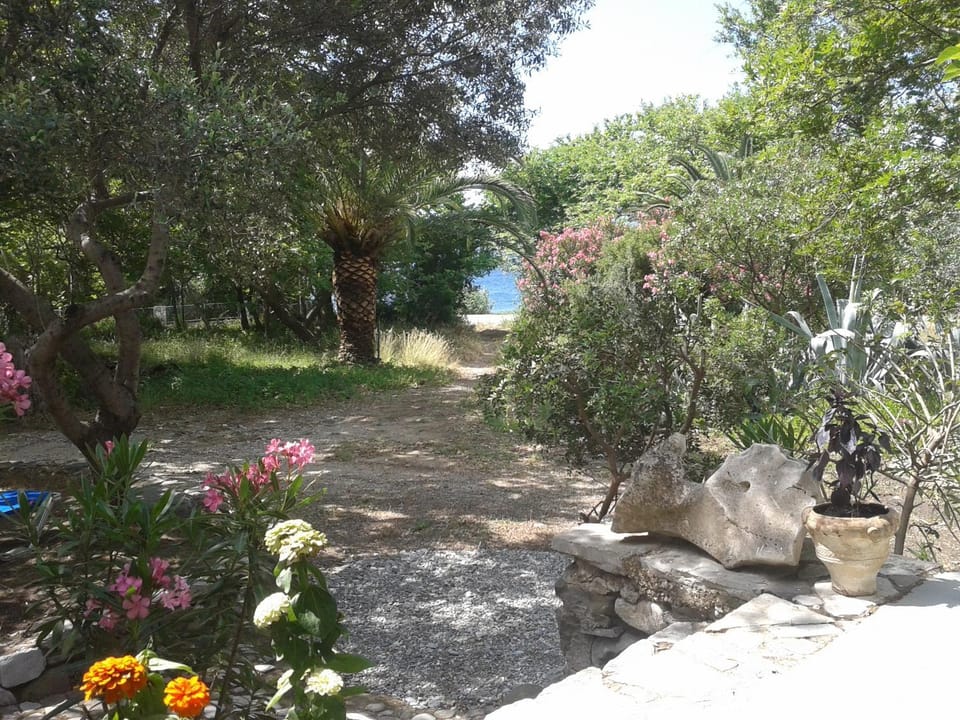 Garden view, Sea view