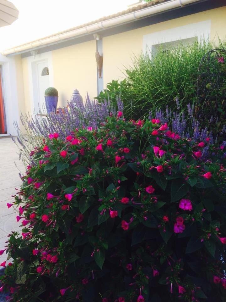 La Maison de Lilly Bed and Breakfast in Arcachon