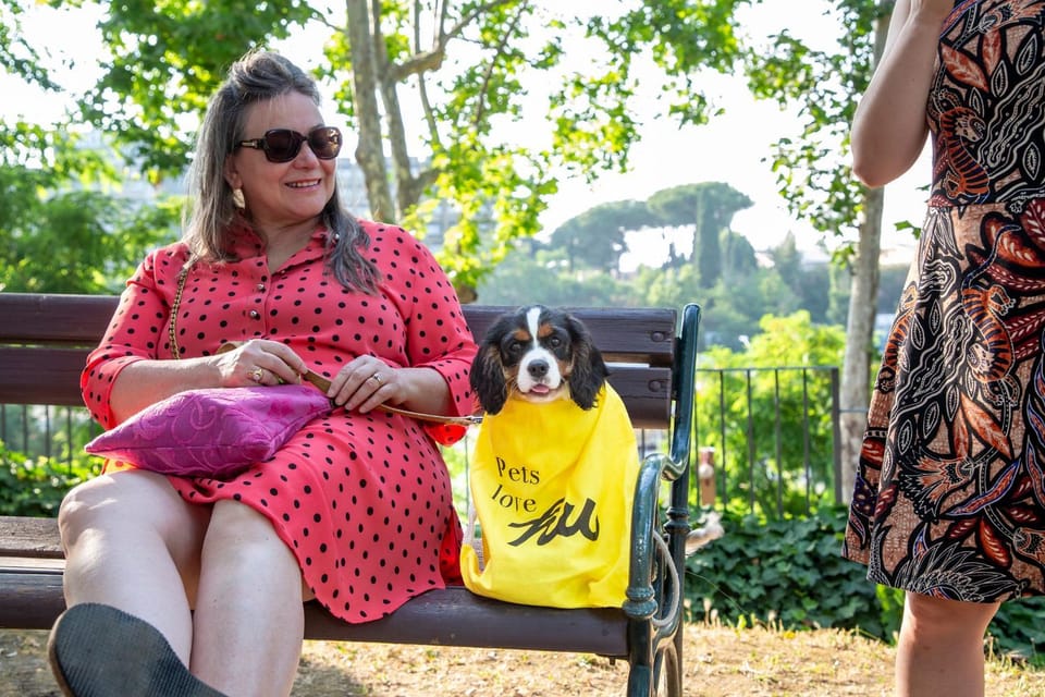 Animals, Animals, Pets, pet friendly