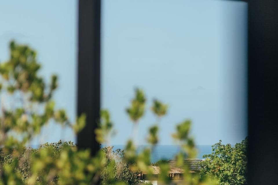 Natural landscape, Garden, Garden view