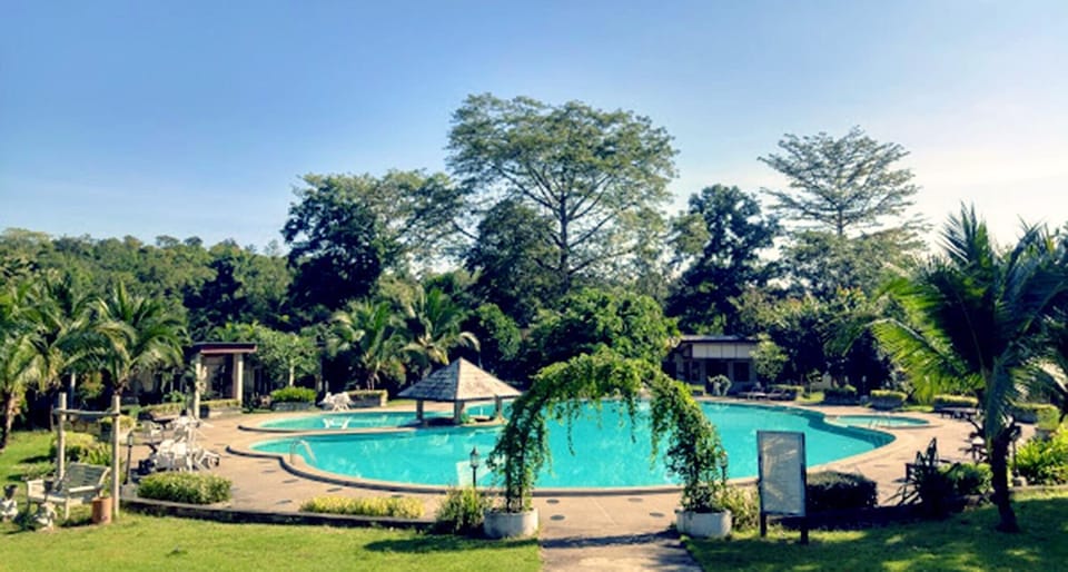 Pool view, Swimming pool