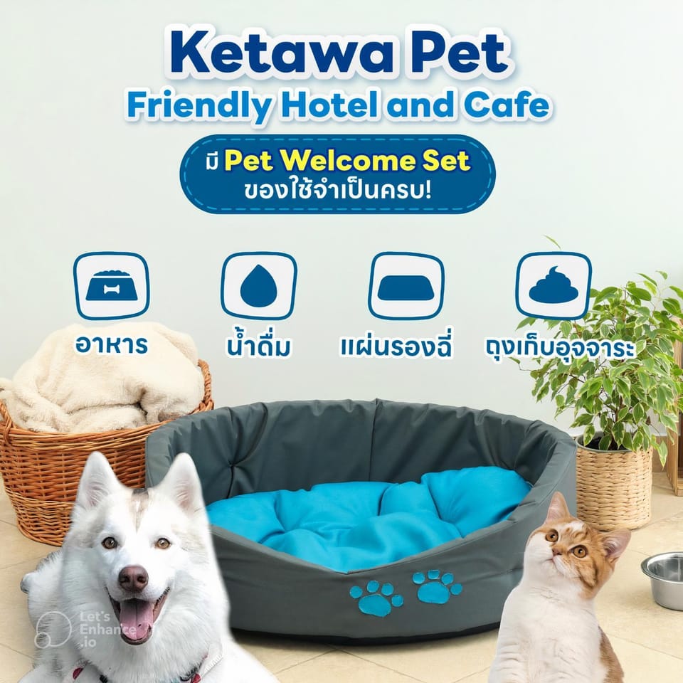 Pets, Pets