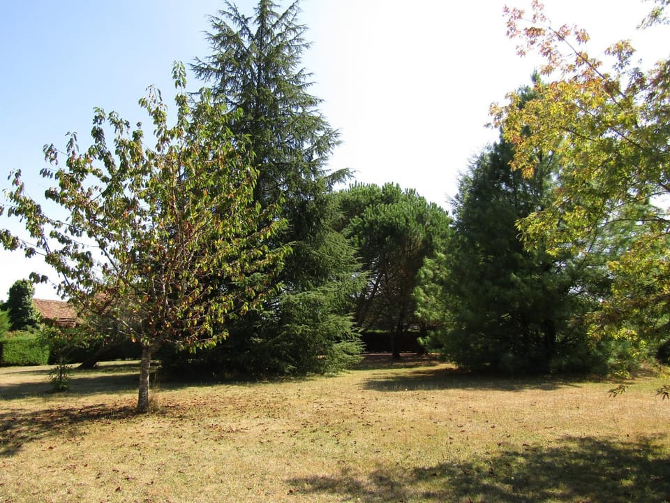 Natural landscape, Garden