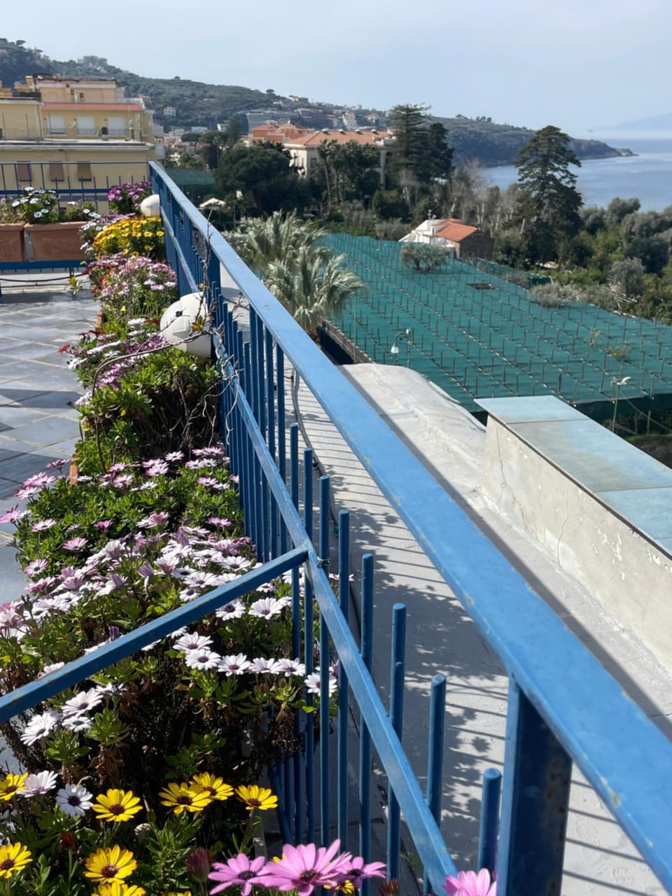 Sea&Skyview Apartment in Sorrento