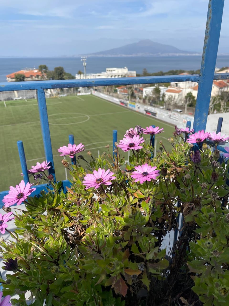 Sea&Skyview Apartment in Sorrento