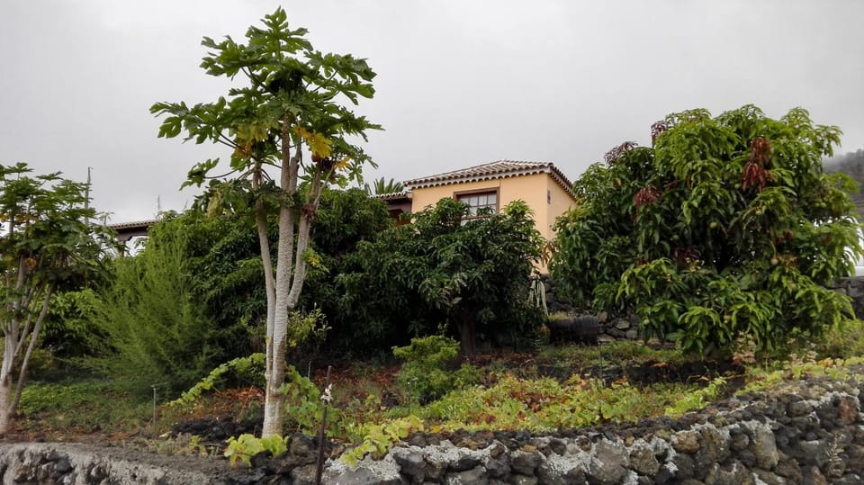 Off site, Garden