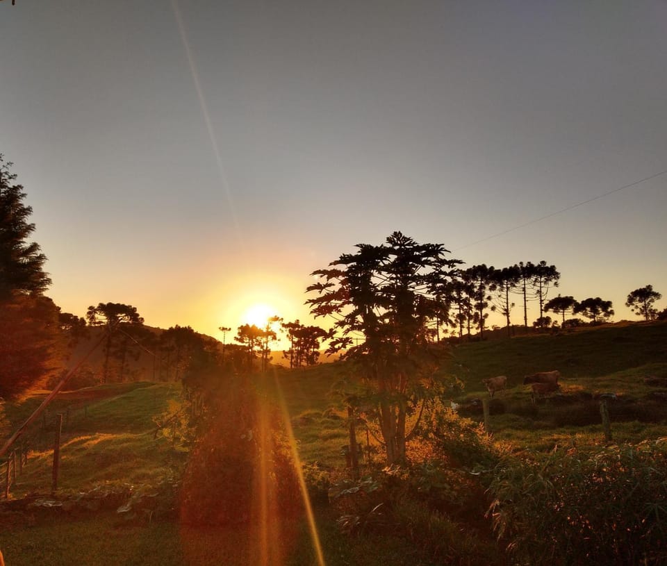 Sunrise