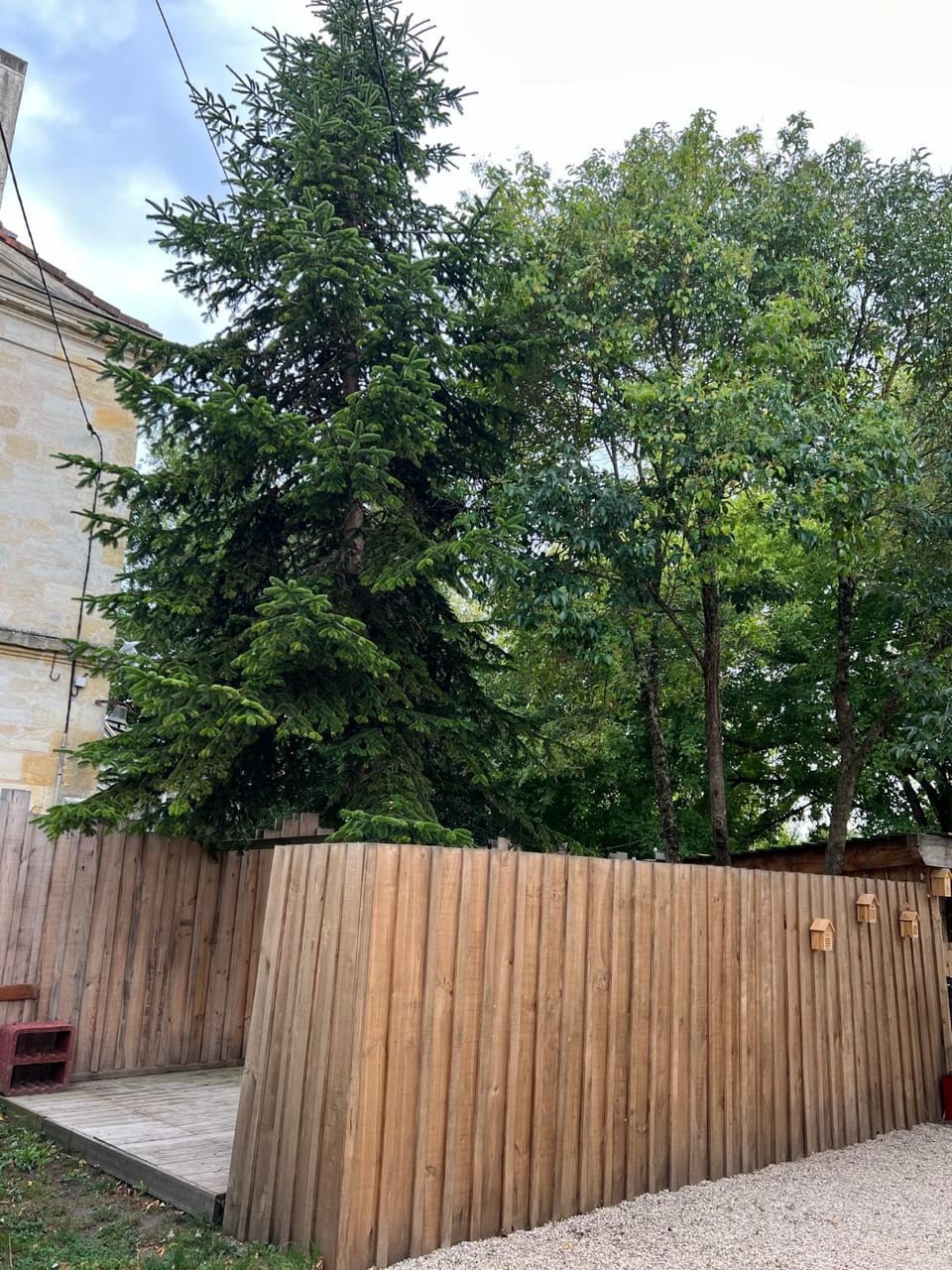 Garden, Garden view