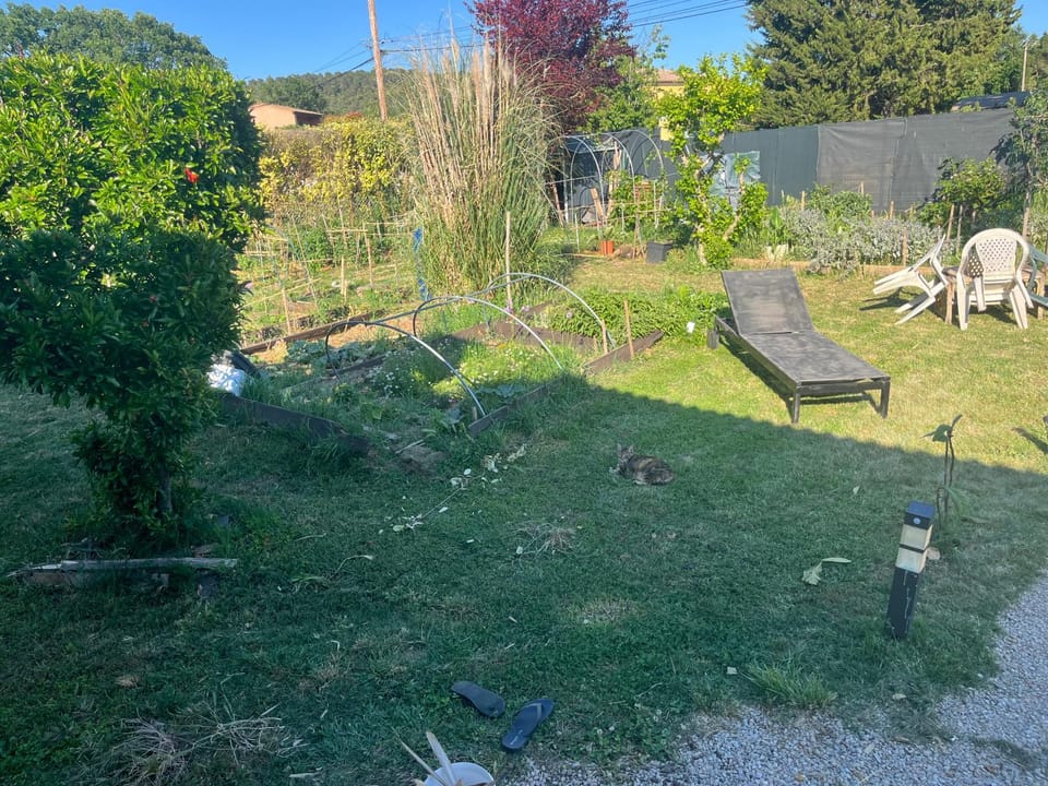Garden view