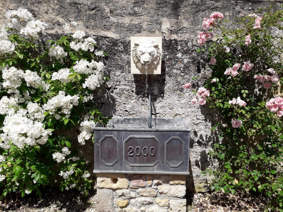 Day, Garden, Garden view