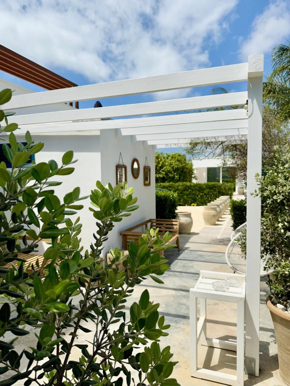 Patio, Garden, Garden view