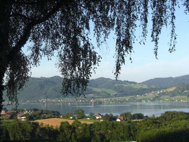 Lake view