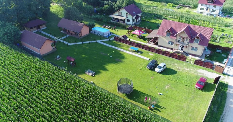Pensiunea Sonia Bed and Breakfast in Romania