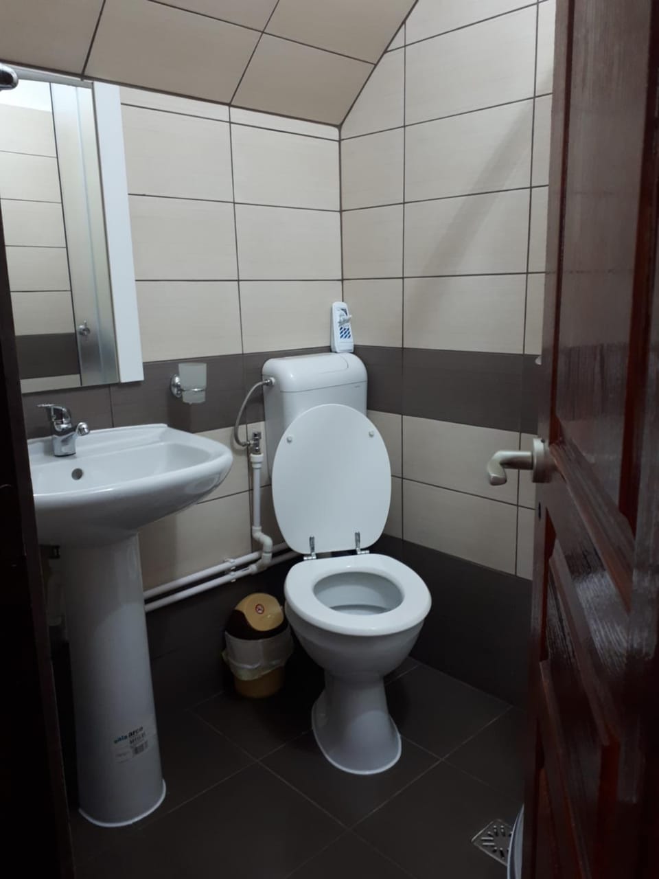 Pensiunea Sonia Bed and Breakfast in Romania