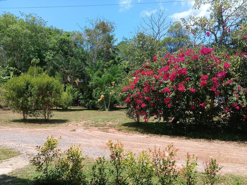 Cha Bungalow Resort in Krabi Changwat