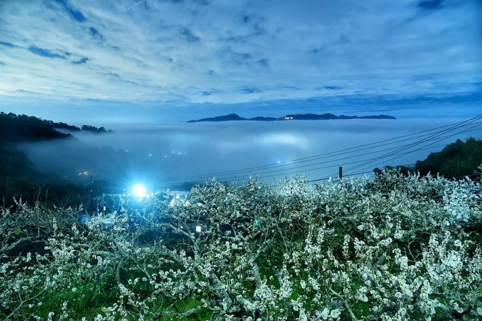 Maple map B&B Bed and Breakfast in Taiwan, Province of China
