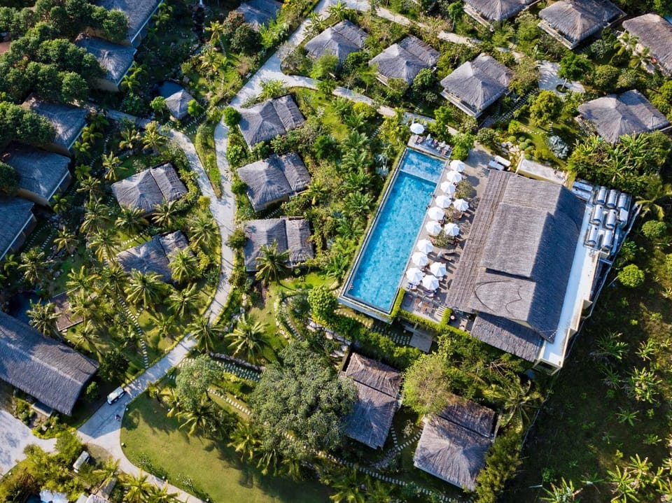 Bird's eye view, Garden, Swimming pool